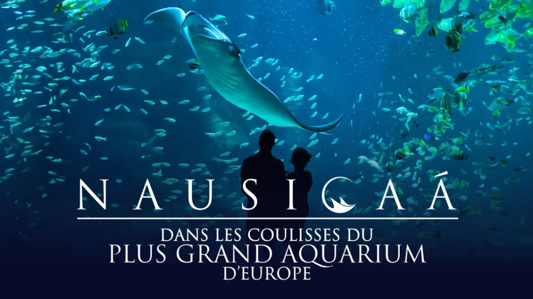 Nausicaá